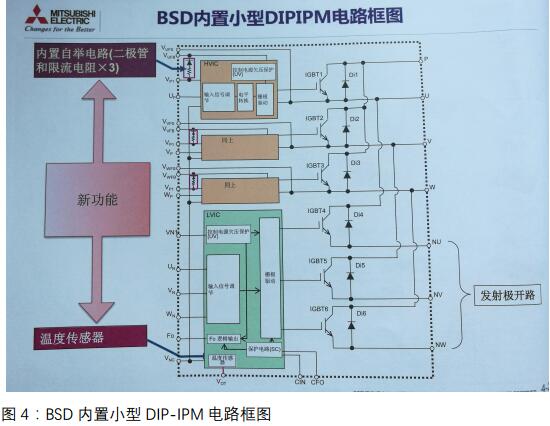 BSDСDIP-IPM·